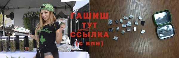 индика Балахна