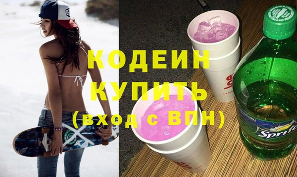 индика Балахна