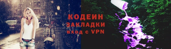 индика Балахна