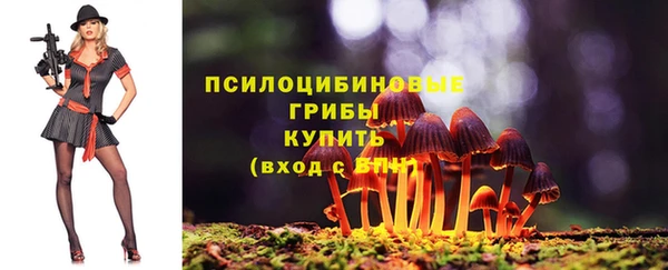 прущие крисы Баксан