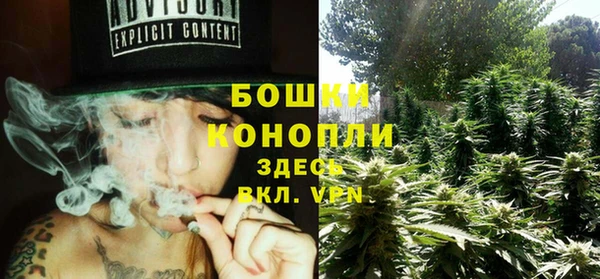 твердый Аркадак