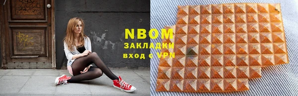 твердый Аркадак