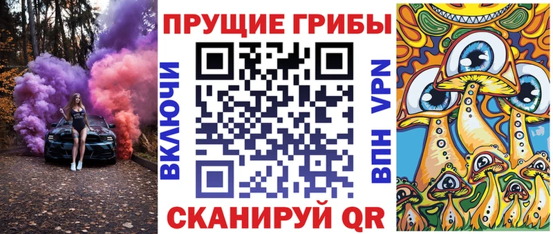 KRAKEN ТОР цена Спасск-Дальний Галлюциногенные грибы Cubensis